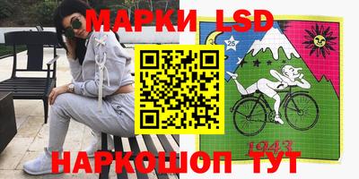 apvp Кингисепп