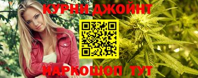 apvp Кингисепп