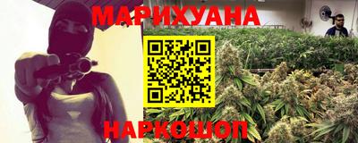 apvp Кингисепп