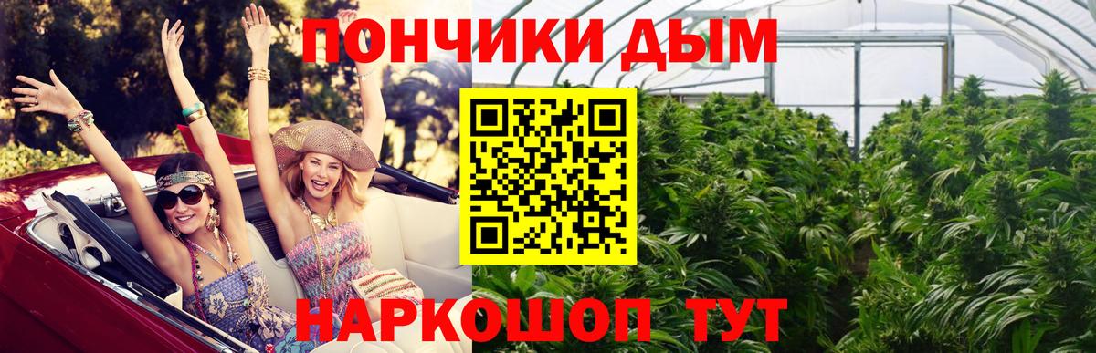 Бошки Шишки гибрид Химки